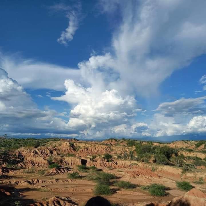 Hostal Arambulo Вильявьеха Экстерьер фото